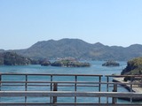 IMG_0118