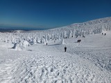 IMG_20230217_133144727