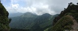 IMG_4558
