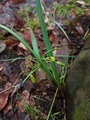 IMG_20220416_112022_567