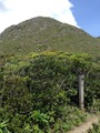 IMG_0669