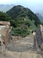 IMG_4547