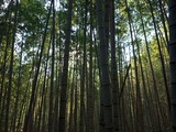 IMG_20220104_153832_841