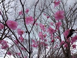 IMG_20220416_115151_383