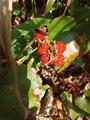 IMG_20220104_135207_601