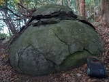 IMG_20211127_142210_879