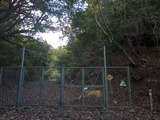 IMG_20211127_153718_738