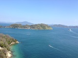 IMG_0101