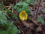 IMG_20220416_113024_299
