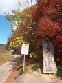 IMG_20211127_125808_267