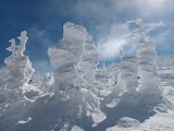IMG_20230217_115344472