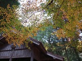 IMG_20211127_161356_299