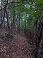 IMG_20211127_152836_544
