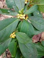 IMG_20220416_133811_666