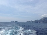 IMG_0788