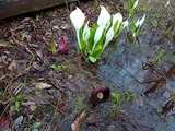 IMG_20220416_104527_311