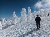 IMG_20230217_120615568
