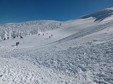 IMG_20230217_133152445