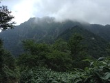 IMG_4536