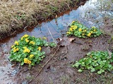 IMG_20220416_133044_971