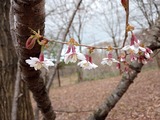 IMG_20220416_114623_364