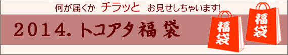 福袋カテゴリーバナー