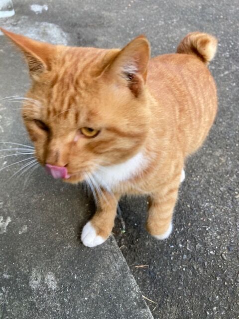 たびくんが無事に帰還！ : 東光院 副住職のblog