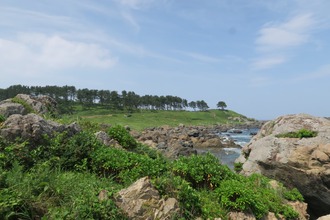 line_116612515471868