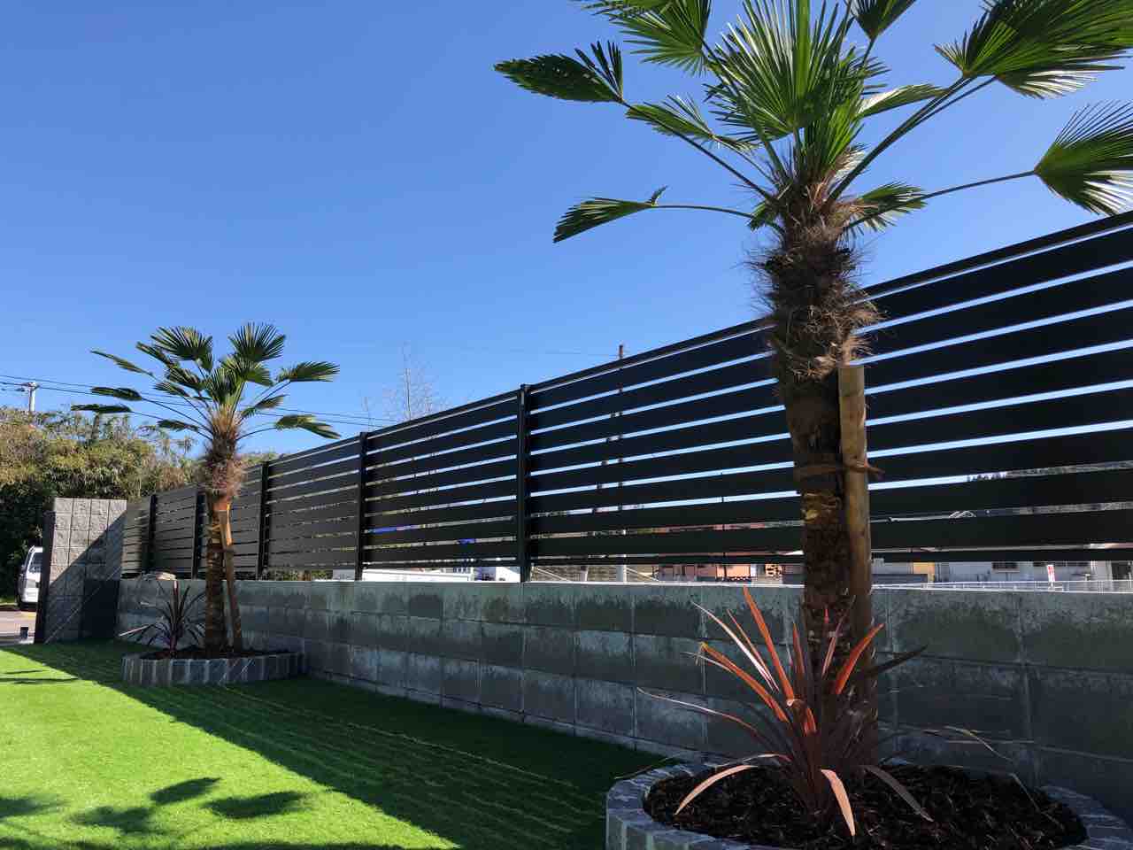 ヤシの木 いい家の庭 庭蒼のブログ