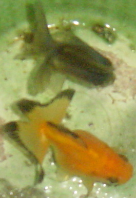 25d569db.jpg