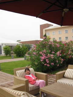 69329b00.jpg
