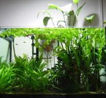 7f6ddf49.jpg