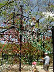c11020b4.jpg
