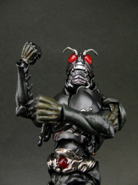 S.I.C. Vol.16 Masked Rider BLACK : とこぶろ -S.I.C.に囲ま