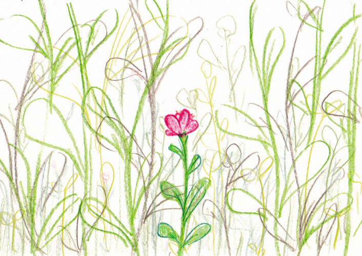 原っぱ Tokotokoイラストさんぽ道 原っぱ Tokotokoイラストさんぽ道