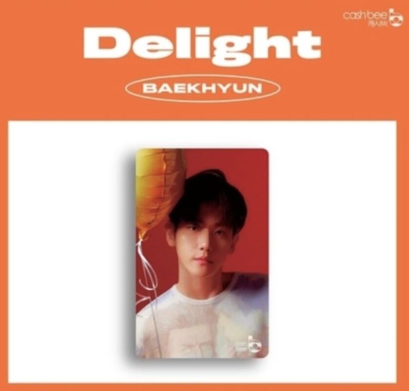 新規！】EXO-SC (セフン＆チャニョル）CASHBEE 交通カード 購入代行