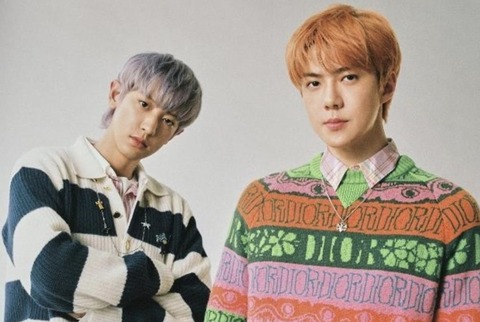 新規！】EXO-SC (セフン＆チャニョル）CASHBEE 交通カード 購入代行