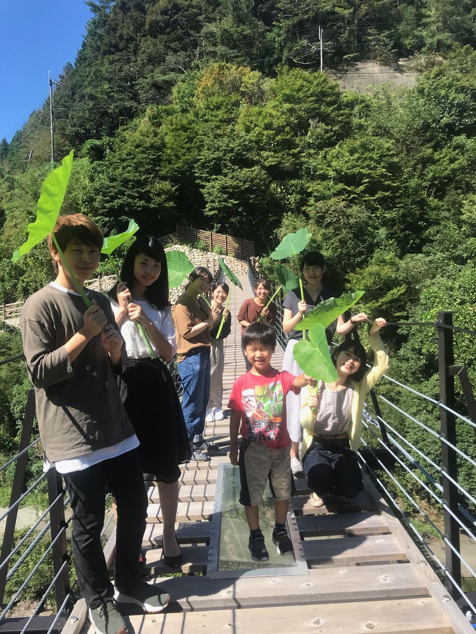 かわいい4年生とトトロの葉っぱ たいしゃ びより 徳島大学 代謝栄養学分野のblog