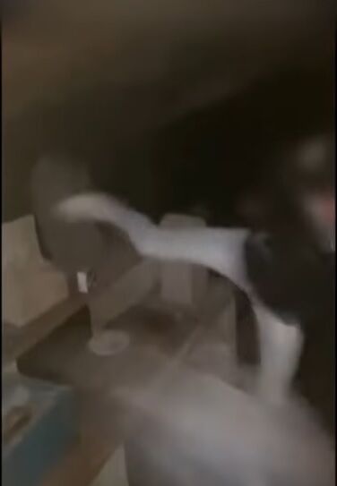 youtu