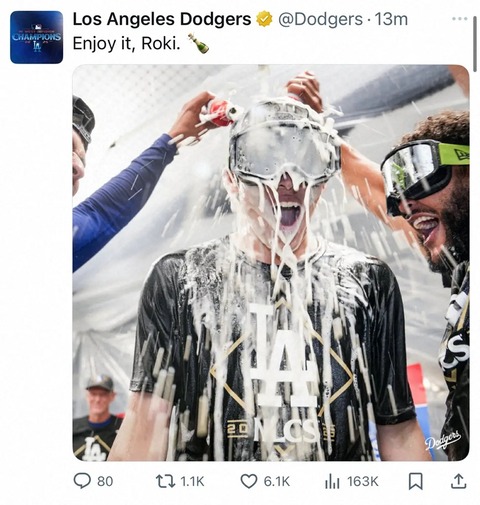 61IEHoxTReL11._AC_SL1000_