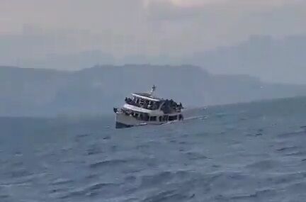 61IEHoxTReL11._AC_SL1000_