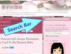 search bar blog