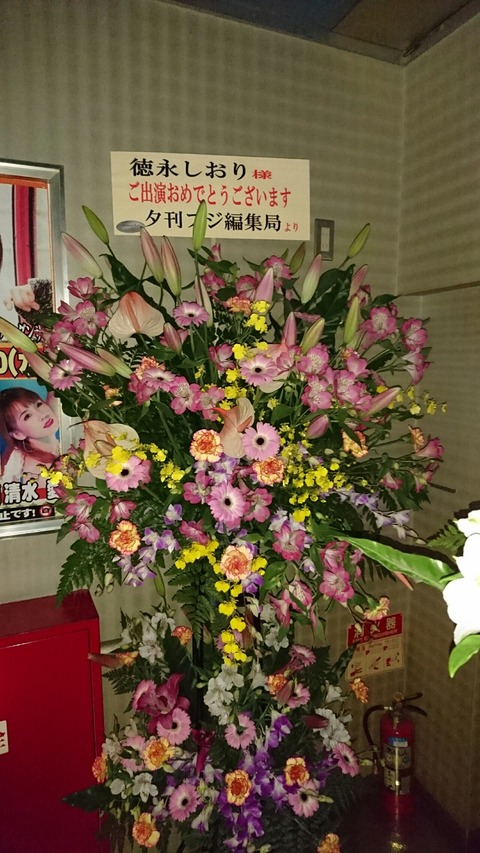 [画像:695376dd-s.jpg]
