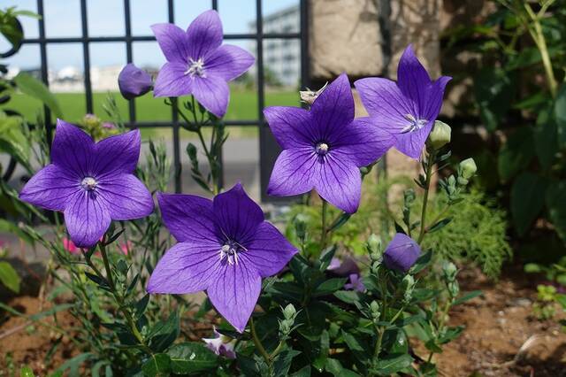 21 7月勉強会 Meeting 土蔵労働コンサルタント事務所 ブレーンブログ