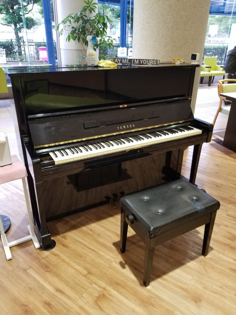 o0810108014987339240