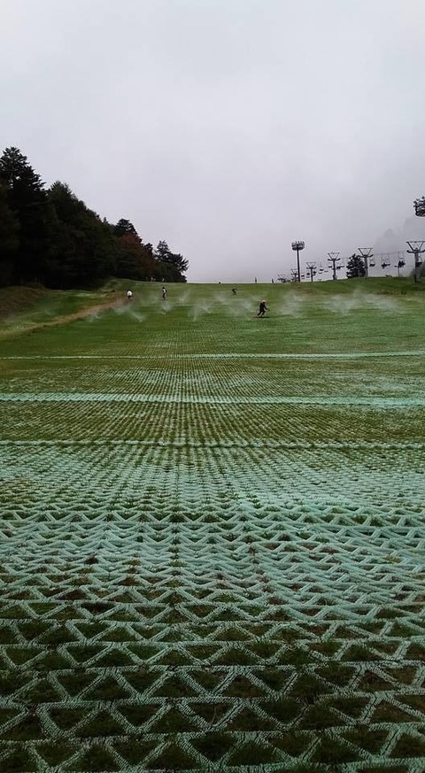 29FF6C49-A50B-43B6-AB09-DE0F1695BB3D