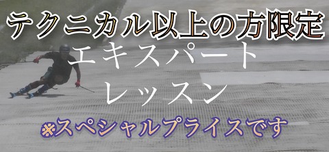 C0EF076F-4D36-44D3-9069-4428B2EA1447