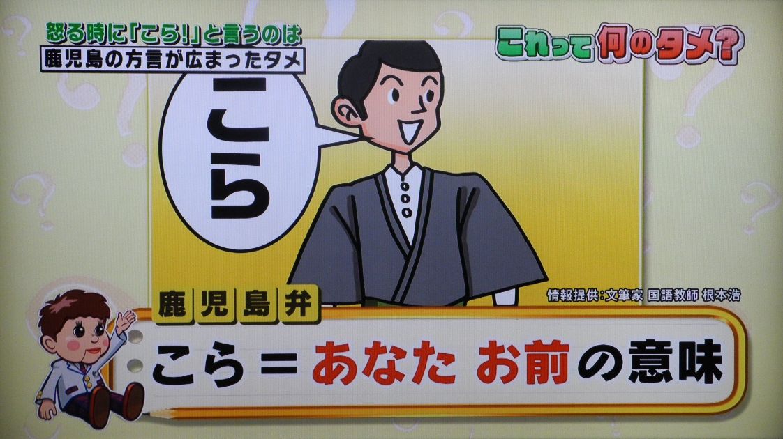 怒る時に こら と言うのは何のため Straight Ahead 怒る時に こら と言うのは何のため Straight Ahead