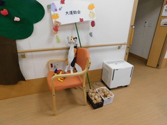 DSCN5703