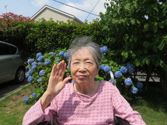 6月6日　紫陽花 (11)